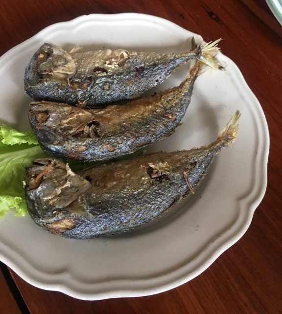 ปลาทอด